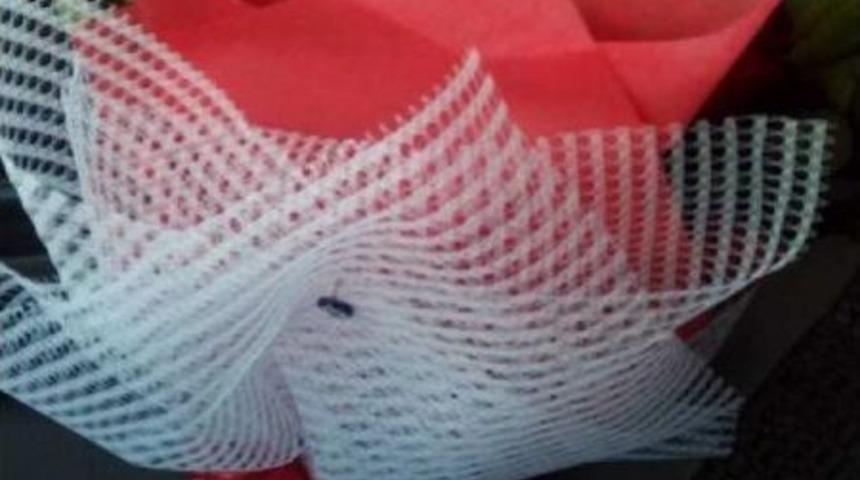 İntihar Eden Gencin Organları 3 Kişiye Umut Oldu