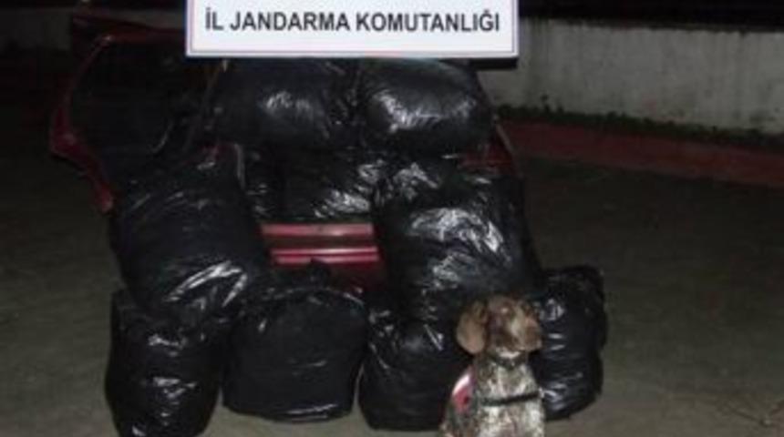 118 Kilo Esrar Ele Ge&ccedil;irildi