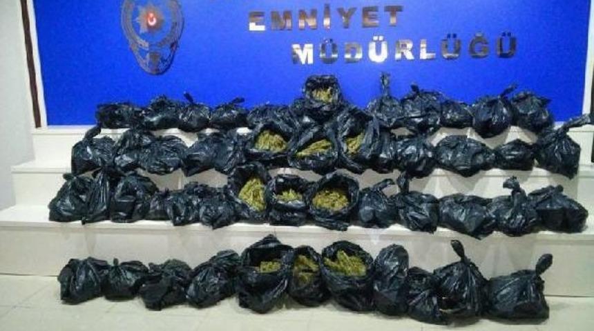 Narkotim İlk Operasyonlarını Yaptı