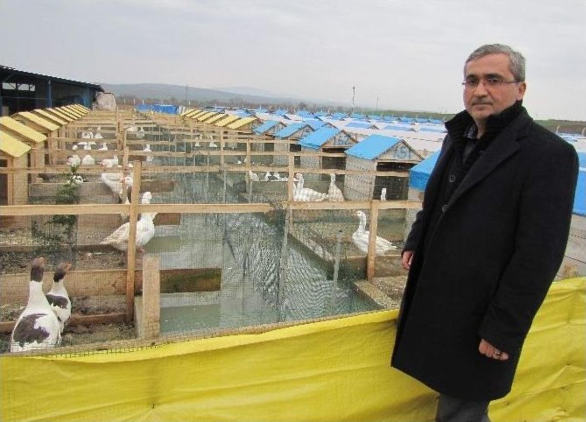 (&ouml;zel Haber) G&ouml;rd&uuml;ğ&uuml; R&uuml;ya &Uuml;zerine Kaz &Ccedil;iftliği Kurdu