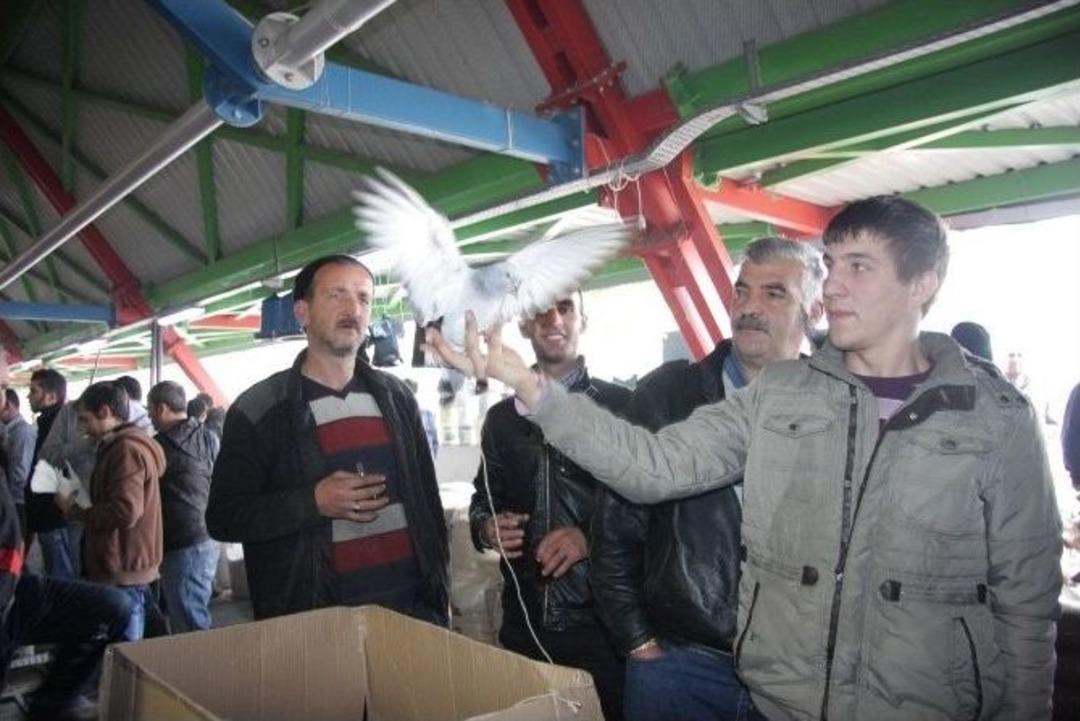 (&ouml;zel Haber) Otomobil Fiyatına G&uuml;vercin