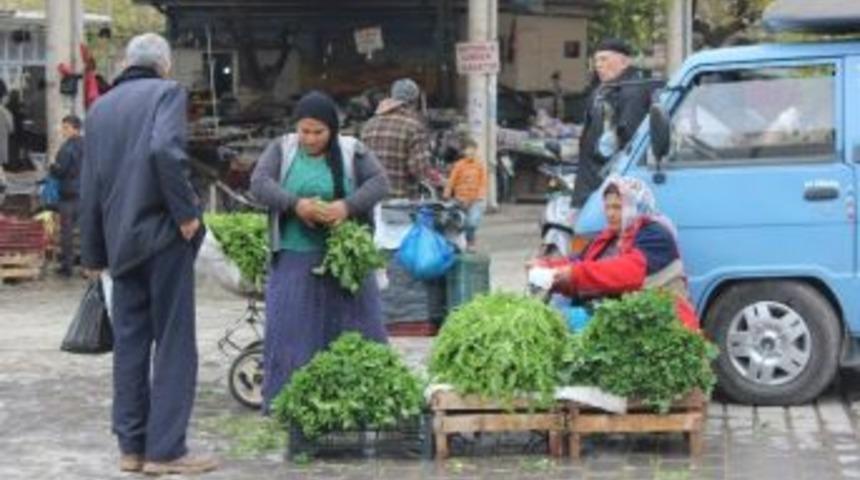 Kış Aylarında T&uuml;ketilen Otlara İlgi