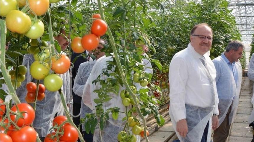 Jeotermal Seranın A&ccedil;ılışı Yapıldı