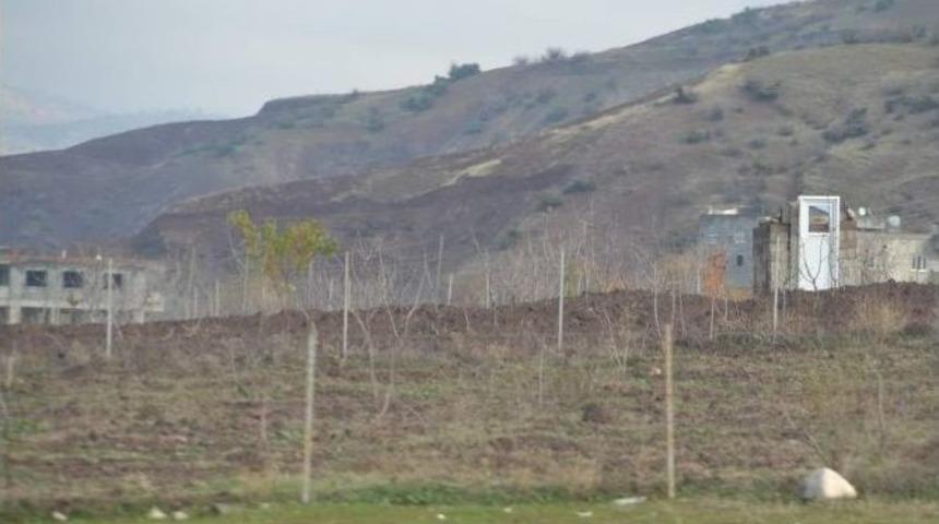 Bağ Sahipleri Hayvan S&uuml;r&uuml;lerinden Şikayet&ccedil;i