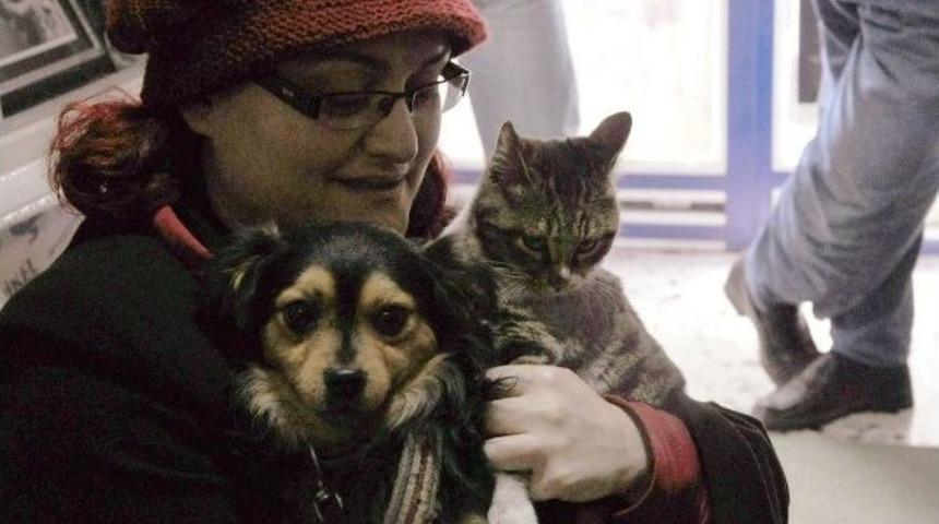 Kedi Ve K&ouml;peğin Dostluğu G&ouml;renleri Şaşırtıyor