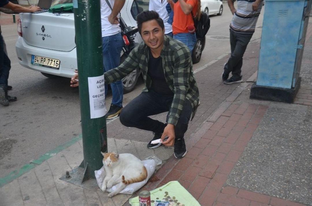 (&ouml;zel Haber) Mama İ&ccedil;in Dilenen Kedi Fenomen Oldu