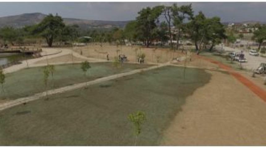 Yunusemre’den Sulu Tohumlama Uygulaması