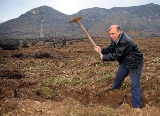 Belediye Başkanıydı, Fidan İş&ccedil;isi Oldu 1