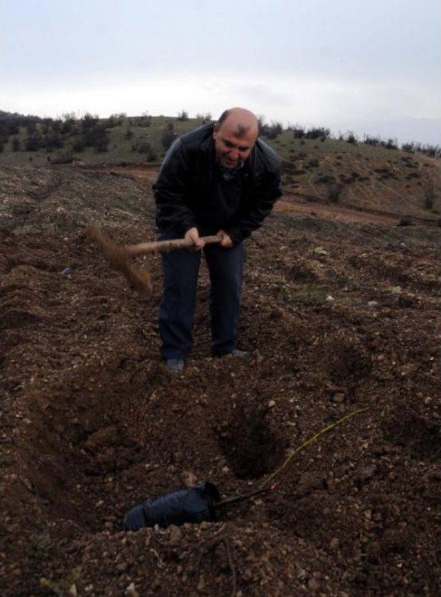 Belediye Başkanıydı, Fidan İş&ccedil;isi Oldu 2