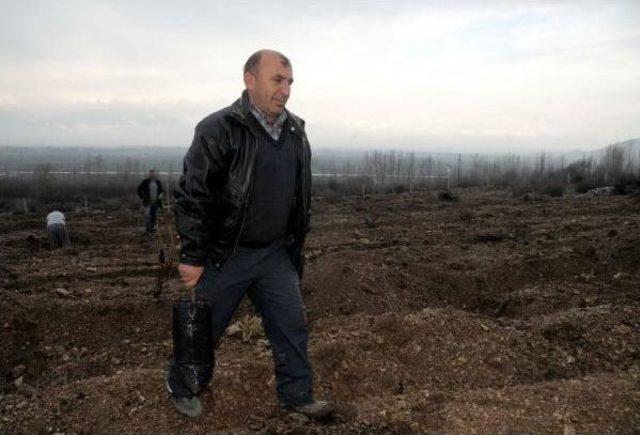 Belediye Başkanıydı, Fidan İş&ccedil;isi Oldu 3