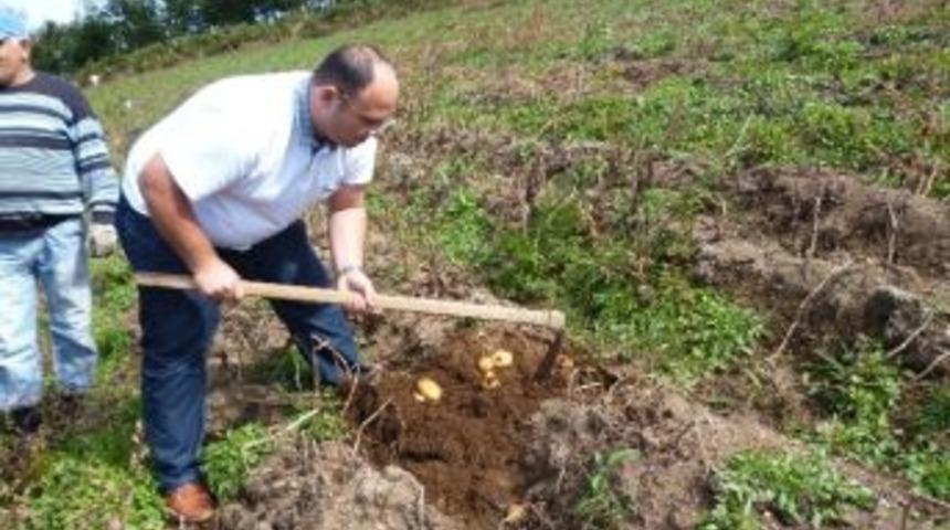 Ordu&rsquo;nun Tarlaları Temiz