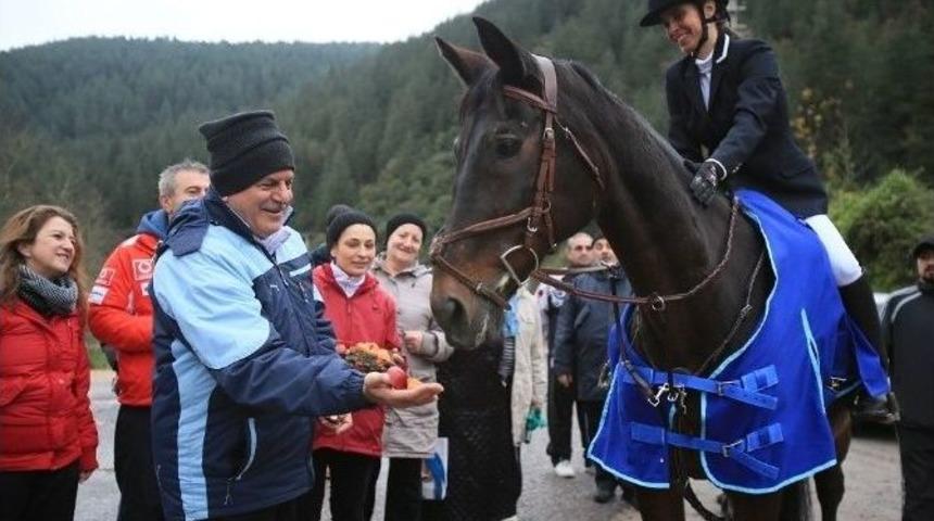 B&uuml;y&uuml;kşehir&rsquo;den &Uuml;cretsiz At&ccedil;ılık Eğitimi