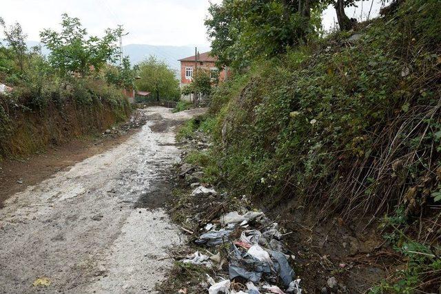 Başkan Togar, Selden Etkilenen Yerleri İnceledi