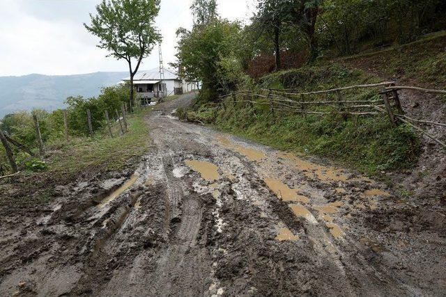 Başkan Togar, Selden Etkilenen Yerleri İnceledi