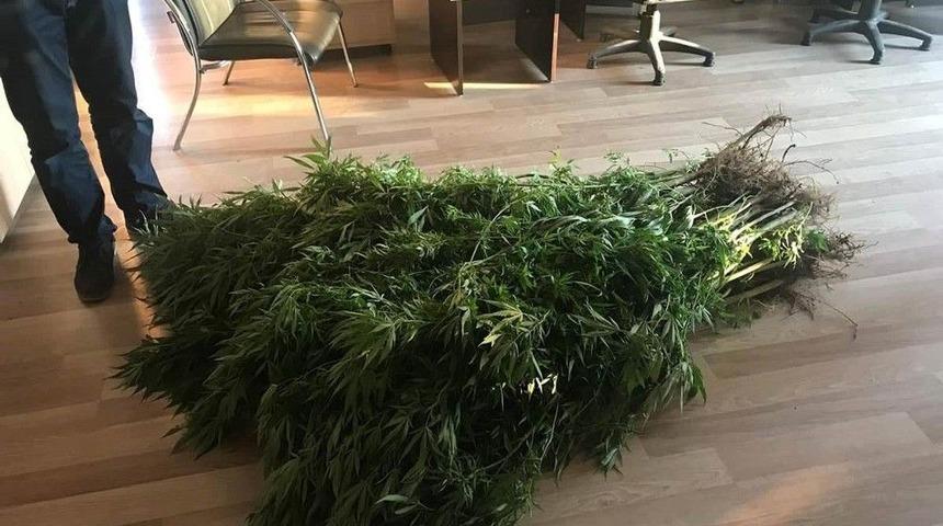 Hatay&rsquo;da Uyuşturucu Operasyonu: 3 G&ouml;zaltı