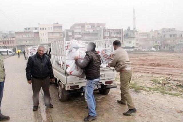 Şanlıurfa’Da Kömür Dağıtımı Başladı