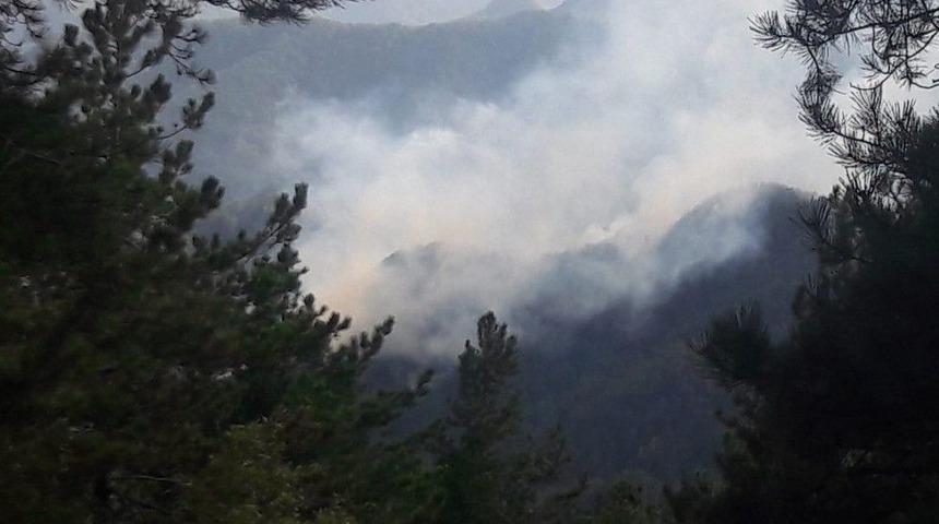 Hatay&rsquo;da Orman Yangını