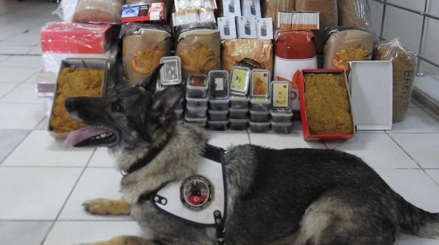 Uşak&rsquo;ta Ka&ccedil;ak T&uuml;t&uuml;n Operasyonu