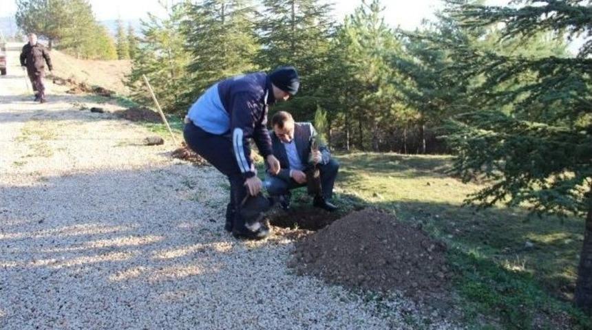 Hamam&ouml;z&uuml;&rsquo;nde Ağa&ccedil;landırma &Ccedil;alışması