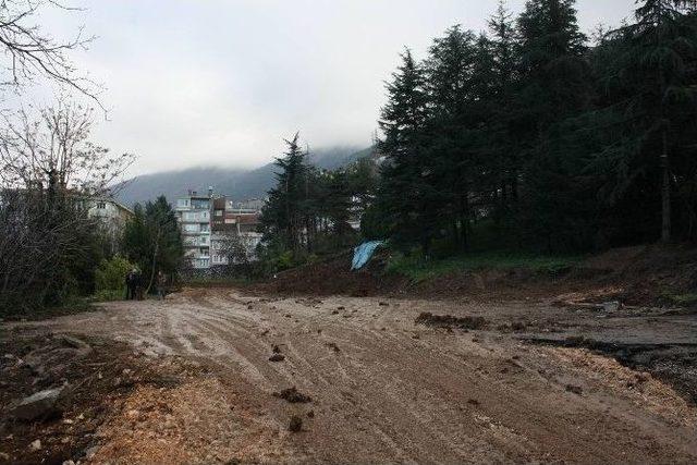 Yürütmeyi Durdurmaya Rağmen Ağaç Katliamını Mahalleli Engelledi