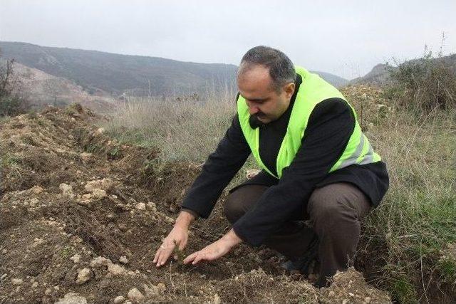Orman İşletmesinden 2014&rsquo;de 49 Bin Fidan 3