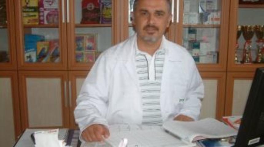 Veterinerler Damızlık Sığır İthaline Karşı