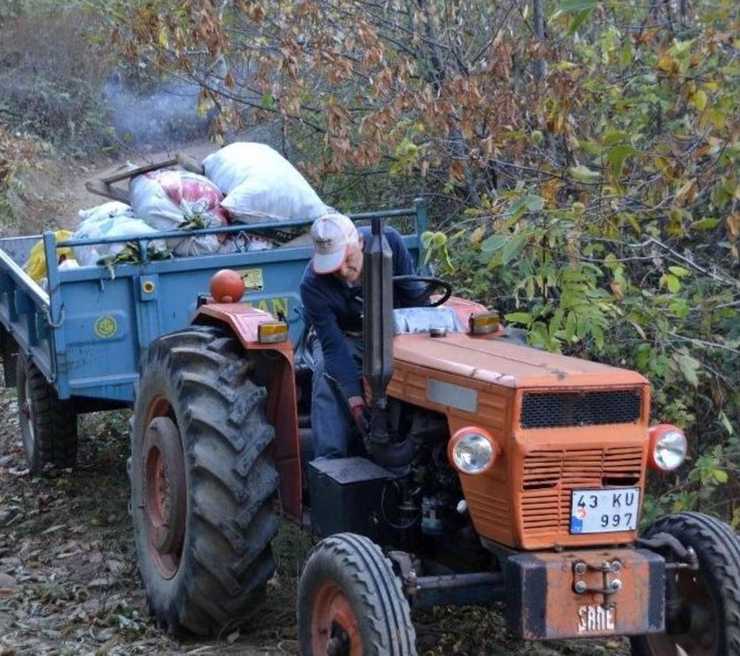 Simav&rsquo;ın Kara Elması Kestane Hasadı Başladı