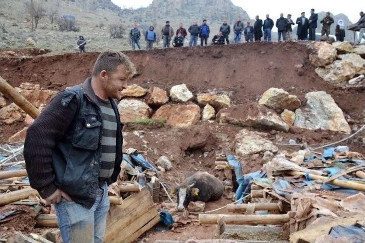 Toprak Kayması Sonucu Besi Damı Yıkıldı