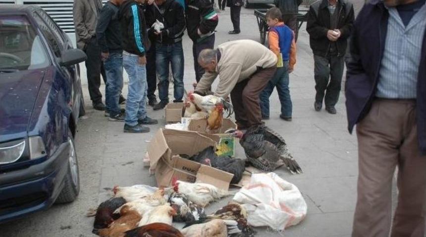 Yılbaşı Hindileri Piyasaya &Ccedil;ıktı