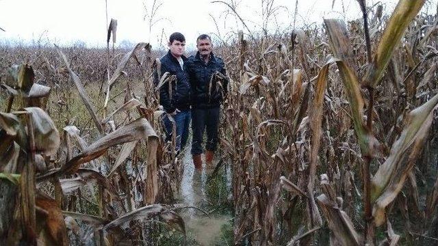 Karayolundaki Çalışma Tarım Arazilerini Sular Altında Bıraktı