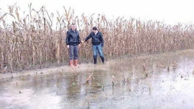 Karayolundaki Çalışma Tarım Arazilerini Sular Altında Bıraktı