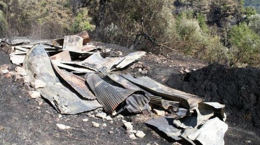 Marmaris&rsquo;teki Yangından Sonra Yaralar Sarılmaya &Ccedil;alışılıyor