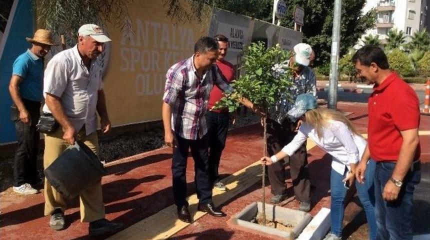 Muratpaşa Belediyesi&rsquo;nden Kaldırım Ve Yol &Ccedil;alışması