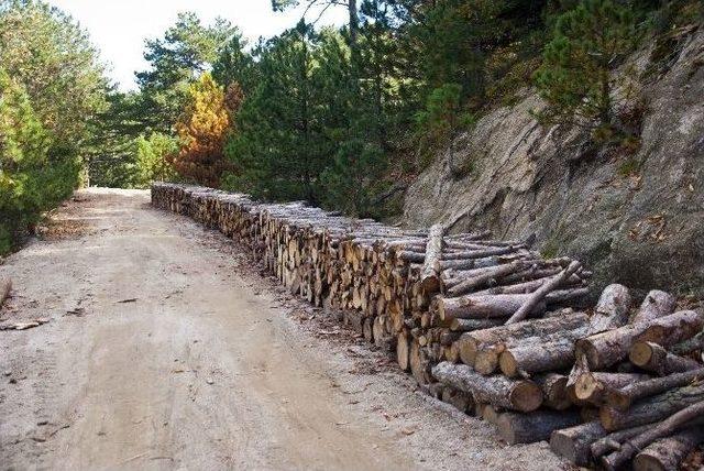 Kazdağları&rsquo;ndan Ekonomiye B&uuml;y&uuml;k Katkı 1