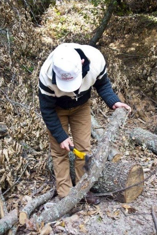 Kazdağları&rsquo;ndan Ekonomiye B&uuml;y&uuml;k Katkı 2
