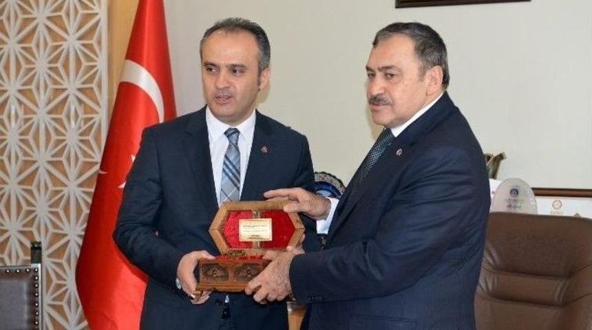 Uludağ&rsquo;a &Ccedil;adır Yerine Orman Evi