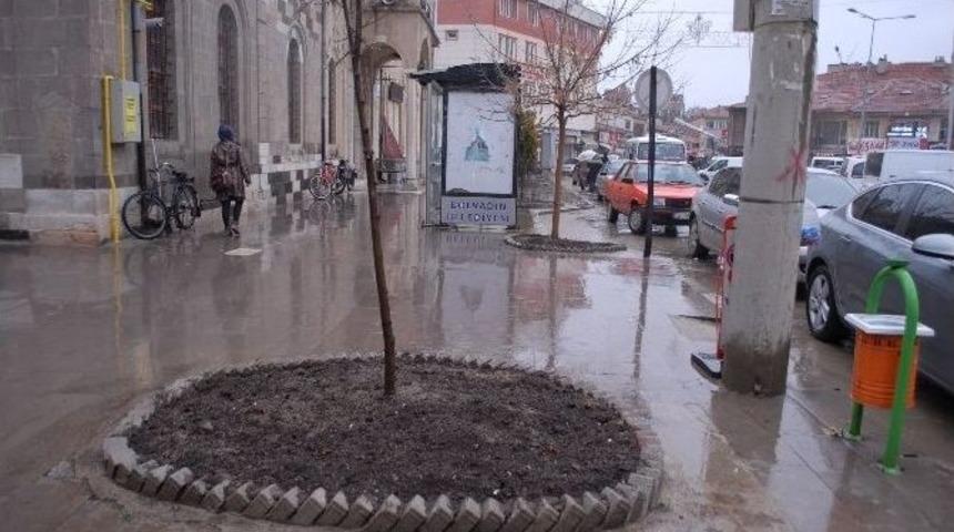 Bolvadin Belediyesinden &Ccedil;i&ccedil;eklendirme &Ccedil;alışması