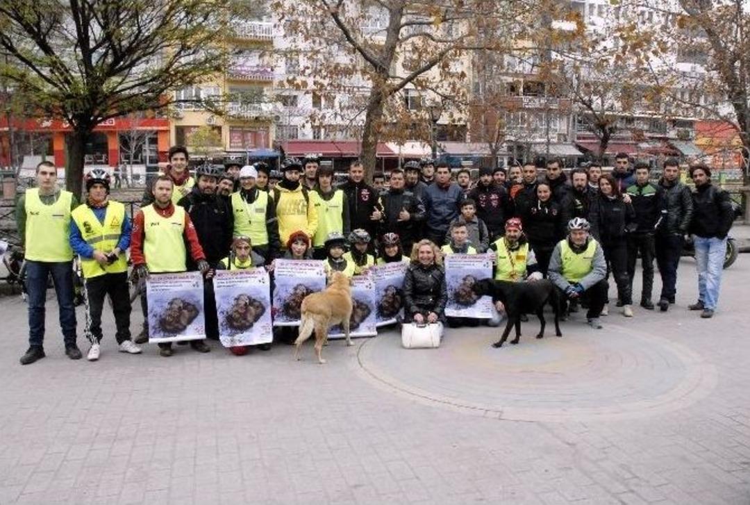 Eskişehir&rsquo;de "her Şey Sokak Hayvanları İ&ccedil;in" Etkinliği