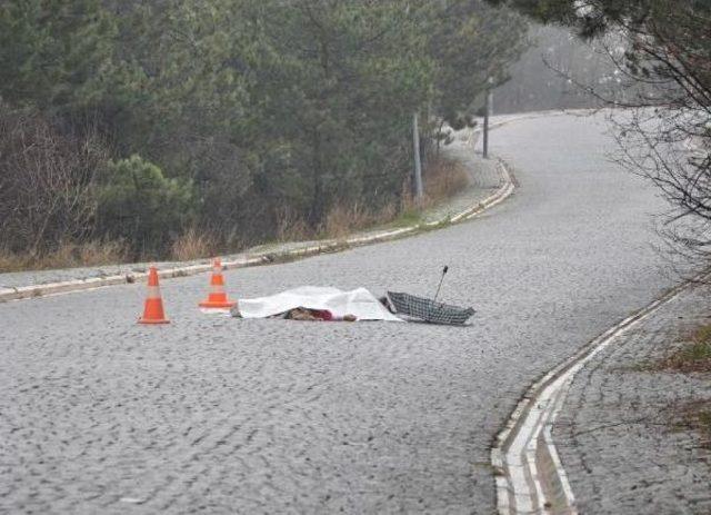 Eşini Öldürmeden Önce, Kızını Annesi İçin Çiçek Toplamaya Göndermiş