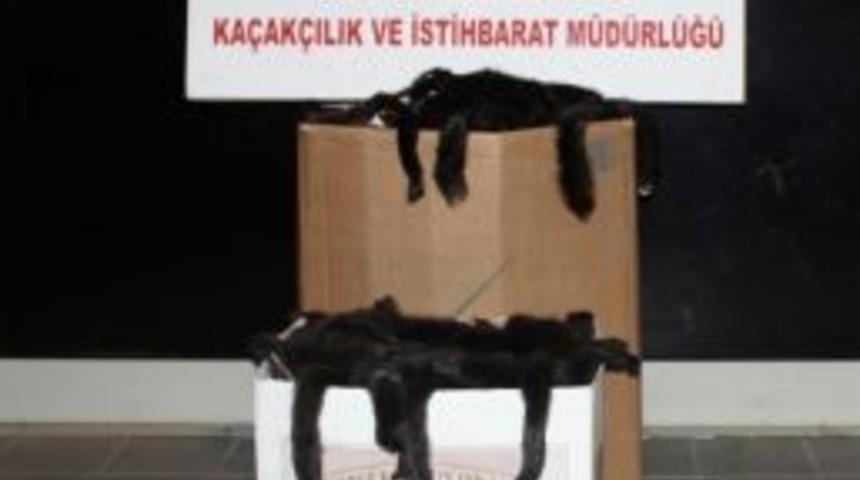 İpsala Sınır Kapısı&rsquo;nda 2 Bin 300 Adet Vizon K&uuml;rk&uuml; Ele Ge&ccedil;irildi