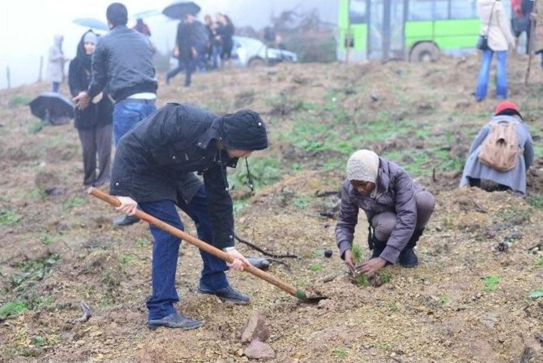 Sa&uuml; &Ouml;ğrencileri Ağa&ccedil; Dikti