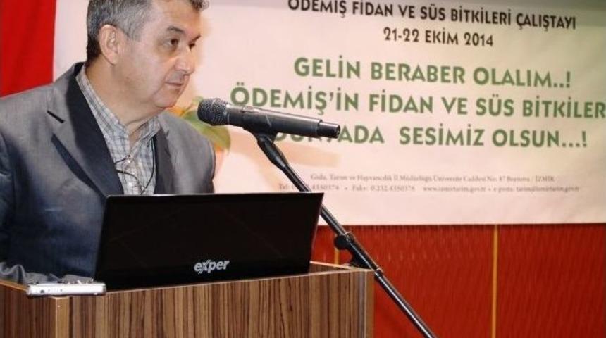 Fidancılık Ve S&uuml;s Bitkileri &Uuml;retimi &Ouml;demiş&rsquo;te Masaya Yatırılıyor