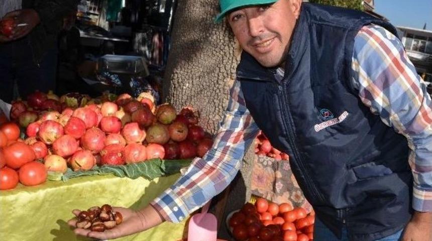 Organik Kestane 15 Tl