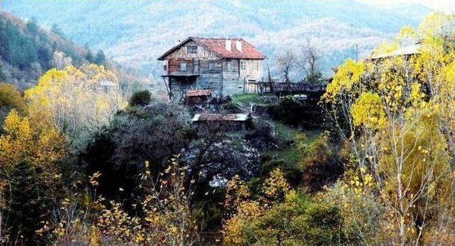 Öğrenciler Sonbahar Renkleriyle Buluştu 1