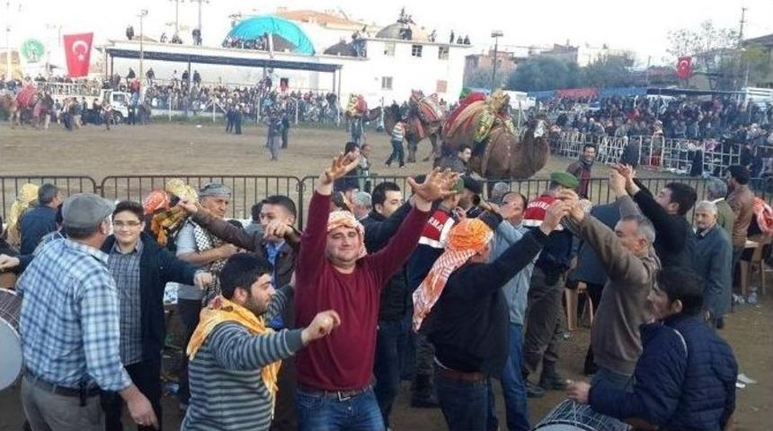 &Ouml;demiş&rsquo;te 900 Yıllık Deve G&uuml;reşi Geleneği