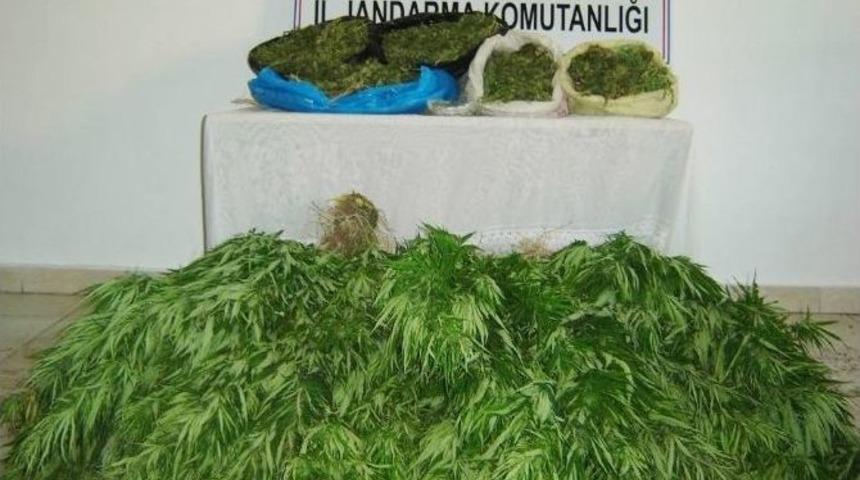 Denizli&rsquo;de Uyuşturucu Operasyonunda İki Tutuklama