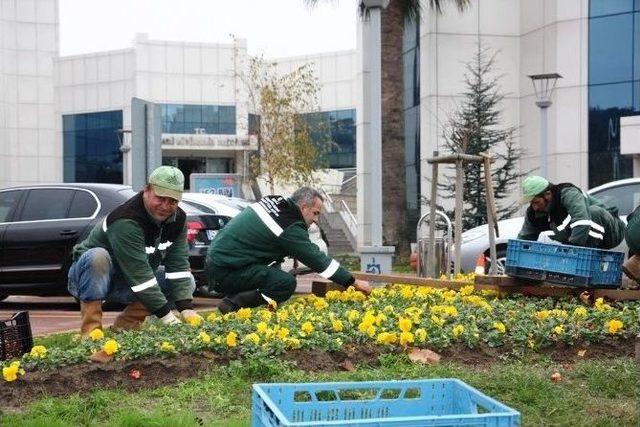 Kocaeli Rengarenk Oldu