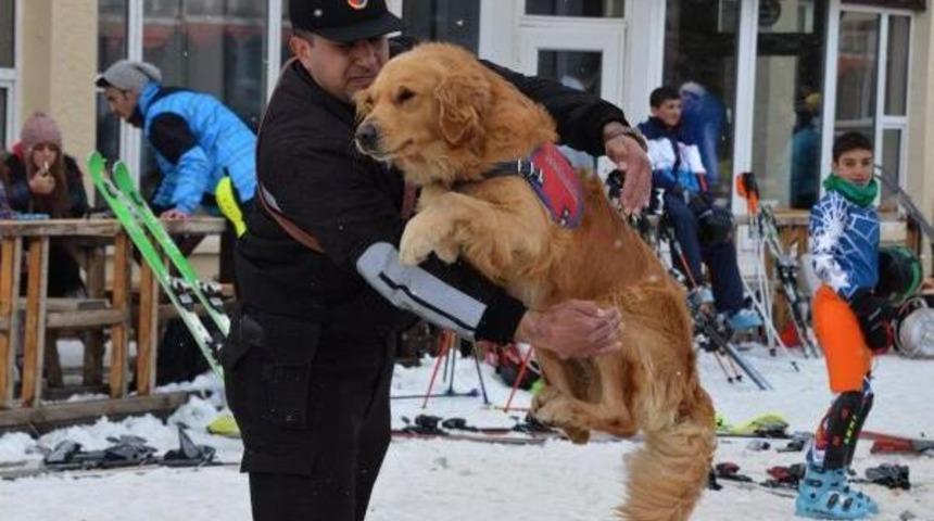 Jandarmanın Arama K&ouml;peği, Festivalin Koruyucusu