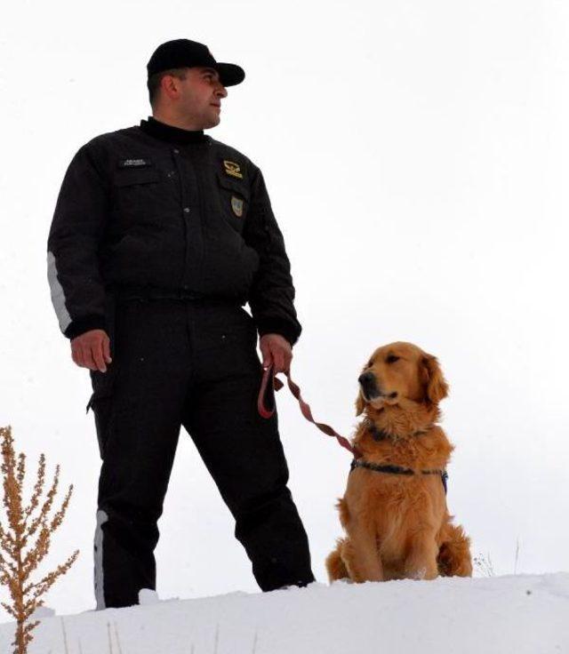 Jandarmanın Arama Köpeği, Festivalin Koruyucusu