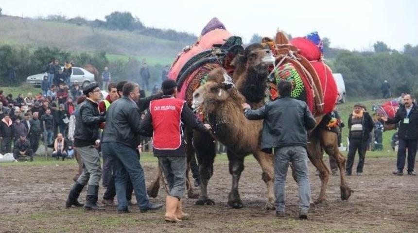 Develer Seyyar Morg İ&ccedil;in G&uuml;reşti